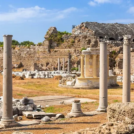 Elia アパート シダ