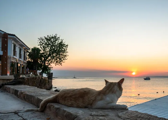 Elia Апартаменты Сиде